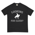 Looking for clues