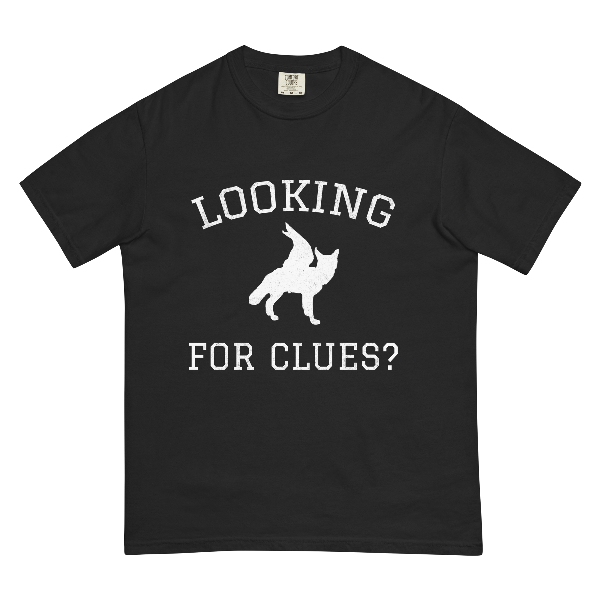 Looking for clues